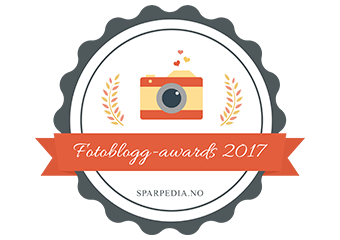 Fotoblogg-awards  2017