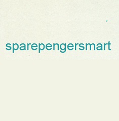 Finance Blogs Award | Sparpengersmart